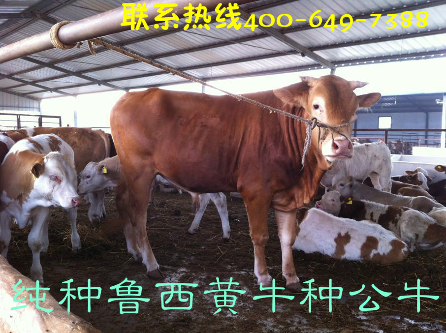 QQ图片20150322154954