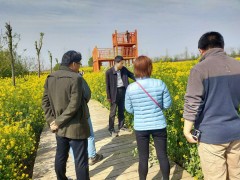 省农科院专家来邮调查油菜消费 - 义务静态 - 高邮鹤壁市农业农村局