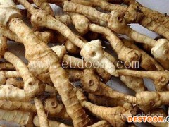 供应黄精-叶氏药材合作社(在线咨询)-武昌黄精