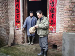 安福县细心组织实施春季防治严重植物疾病集中举动