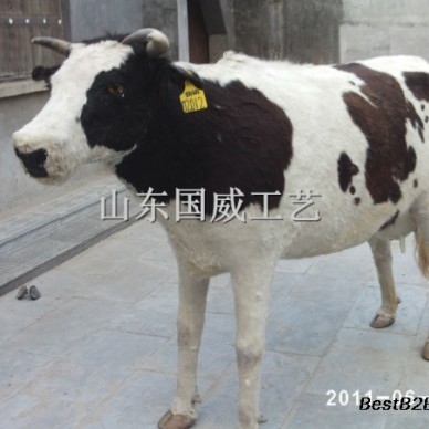 仿生仿真奶牛模型工艺品
