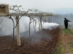 果园冻害防御农机农艺实验示范点实验作业-宝鸡鹤壁市农业农村局