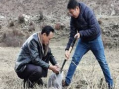 我晋中市土壤采集义务已顺利完成