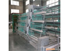 阶梯式养鸡设备 中州牧业  蛋鸡笼养设备