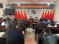 耀州：生态高效畜牧业防疫复产并步走