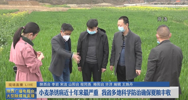 市县领导现场研究对策