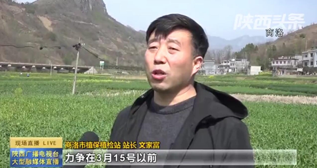 市植保站文家富站长指导全市防控工作