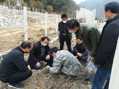 佛坪：县农业农村局战役情保春耕农业消费稳推进