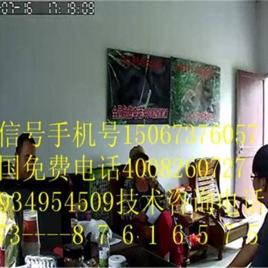 德阳中江野兔养殖商品兔现场考察