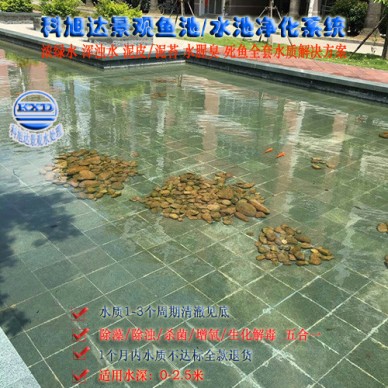 景观水处理设备公司直销,科旭达观赏鱼鱼池循环处理漳州别墅观赏池水过滤设备水清澈洁净一次性解决方案