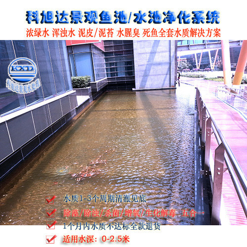 水池过滤循环系统公司,科旭达观赏鱼鱼池过滤系统江门别墅观赏池过滤水清澈洁净