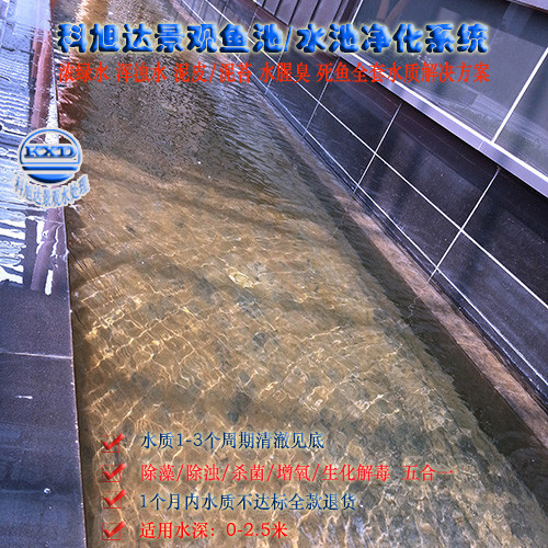 池塘里的水净化技术,科旭达观赏鱼鱼池过滤江苏江都别墅观赏池过滤水绿水混水腥臭一次性解决方案