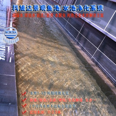 池塘里的水净化技术,科旭达观赏鱼鱼池过滤江苏江都别墅观赏池过滤水绿水混水腥臭一次性解决方案