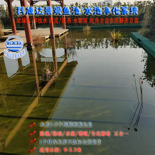 选择锦鲤鱼池过滤器,科旭达观赏鱼鱼池过滤沧州别墅观赏池水净化彻底解决水绿问题