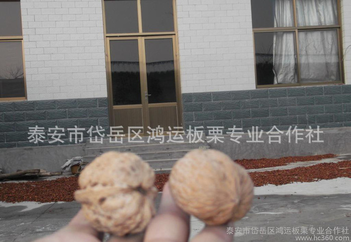 正宗新疆核桃 广东薄皮核桃，纸皮核桃，散装核桃批发，核桃批发