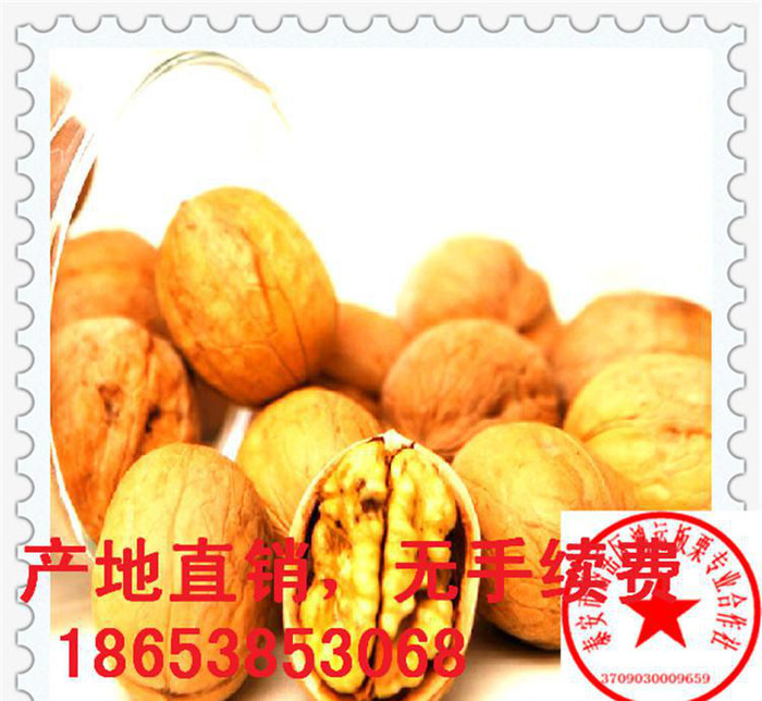 山东香酥核桃、山核桃/薄皮核桃、健康吃核桃