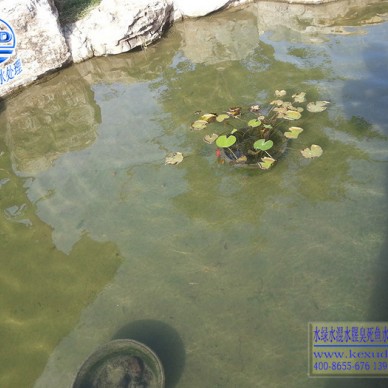 海口150吨观赏鱼池水设备365天水清见底