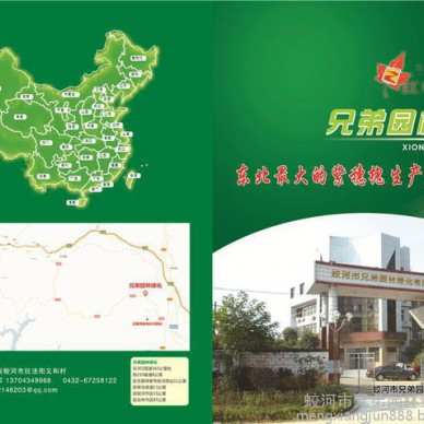 吉林核桃楸苗核桃楸核桃楸苗核桃楸核桃楸苗 紫穗槐