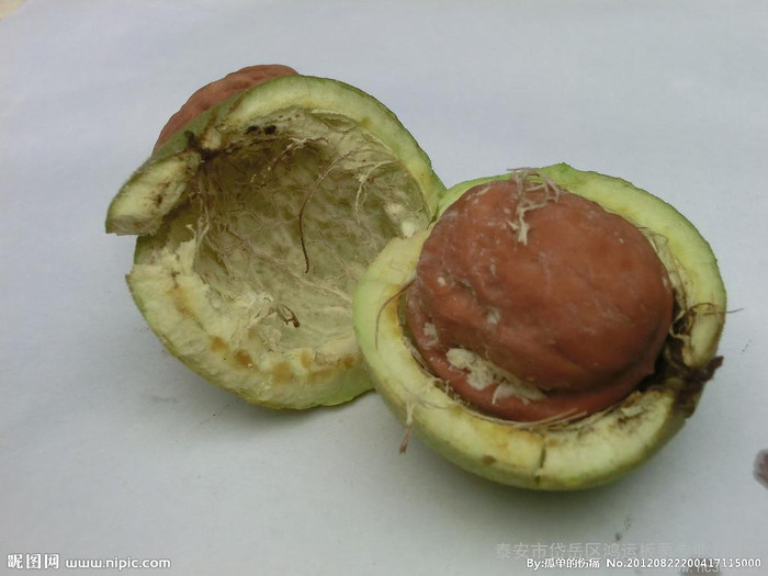 供应新疆核桃 薄皮核桃，纸皮核桃，散装核桃批发，核桃批发