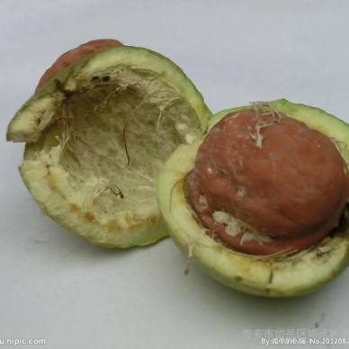 供应新疆核桃 薄皮核桃，纸皮核桃，散装核桃批发，核桃批发