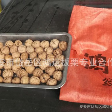 供应纸皮核桃 青皮核桃 鲜核桃 代购核桃
