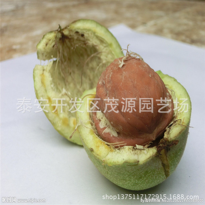 核桃大量上市，青皮核桃，干核桃大量，核桃代收