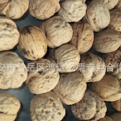 《特价 核桃》孕妇吃新鲜核桃