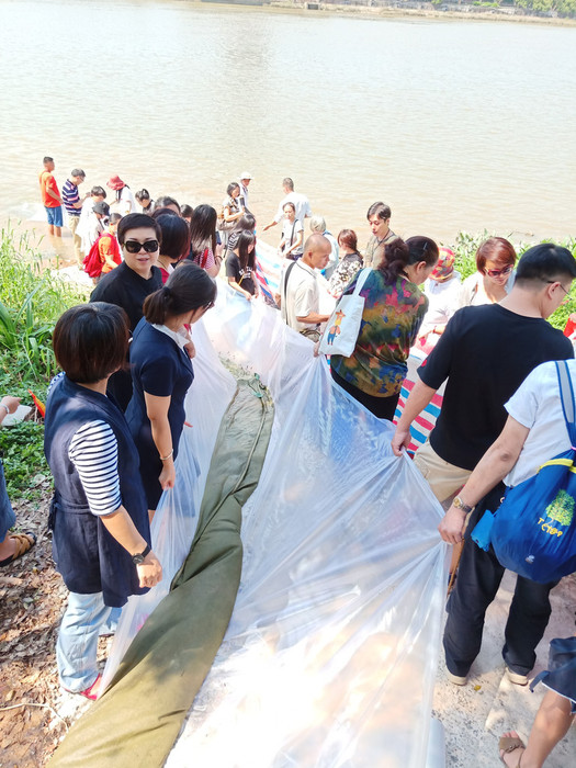 广振宇经营出售黑鱼鱼苗黑鱼价格