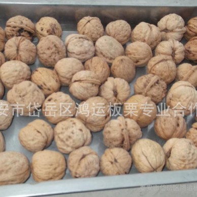 核桃基地批发零售核桃,纸皮,青皮核桃 量大批发零售