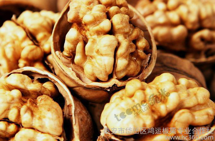 生产基地直销 新疆核桃 阿克苏核桃 青皮核桃 新疆特产