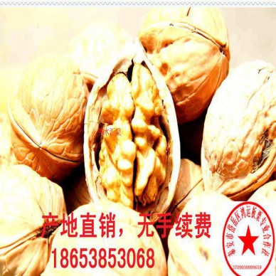 大量核桃，生核桃，鲜核桃，核桃