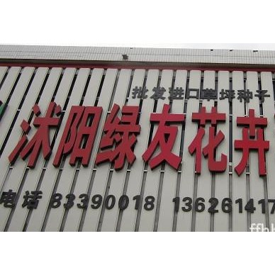 批发进口雪松种子，雪松籽，塔柏子，进口松柏树种子