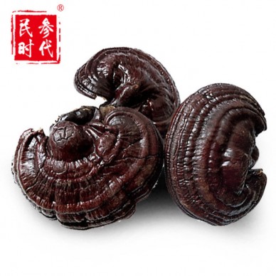 灵芝煲汤长白山灵芝价格灵芝晚上好