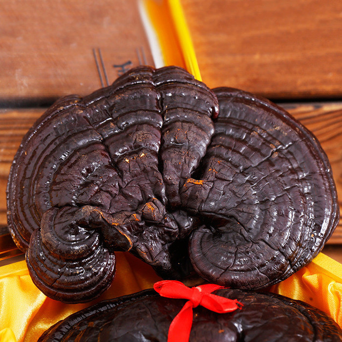 灵芝有袋装长白山灵芝片灵芝个品比较好