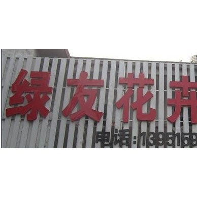 批发名贵松树种子：红松种子，松籽红松是名贵而又稀有的树种