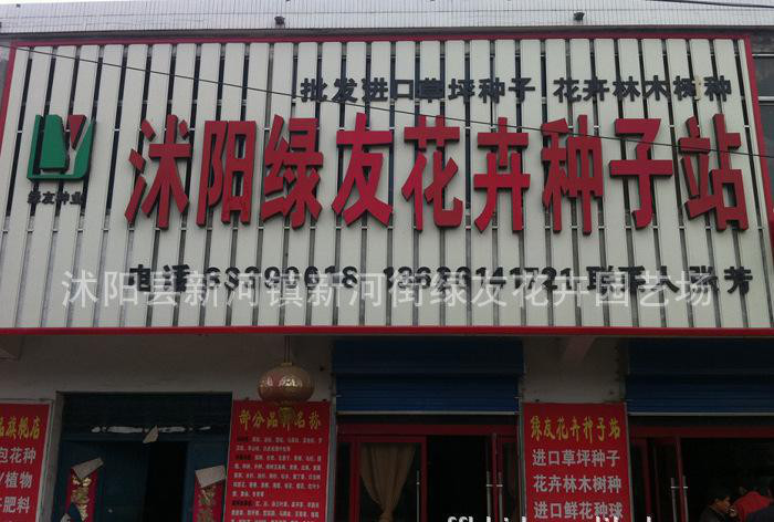 印度雪松种子，雪松种子，雪松籽，订购热线：0527-83390018