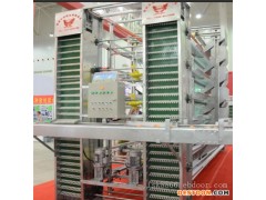 捡蛋设备 河南中州牧业层叠捡蛋系统