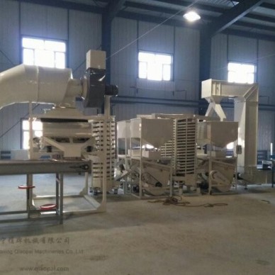 厂家供应俏牌TFSZ-100 松籽脱壳机红松子脱壳机雪松籽脱壳机巴基斯坦松籽脱壳机松子剥壳机