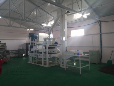 辽宁俏牌TFSZ300松籽脱壳机雪松子、巴基斯坦松籽剥壳机