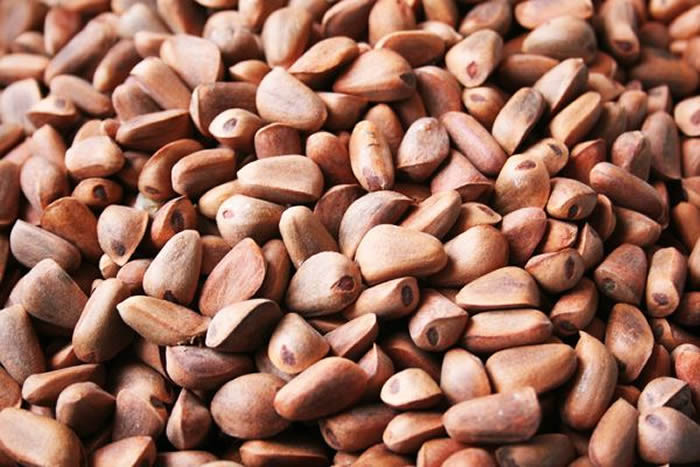 红松籽油 超临界CO2萃取 保健食品 芳香疗 护肤品 原料供应 厂家直销