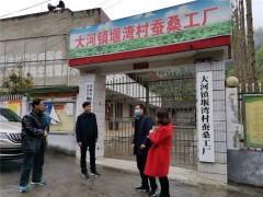 安康：晋中市农业农村局指点深化汉滨区调研蚕桑产业