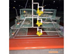 养鸡饮水器  养殖设备 河南中州牧业厂家发货