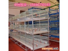 中州牧业阶梯式层叠式育雏笼肉鸡笼蛋鸡笼