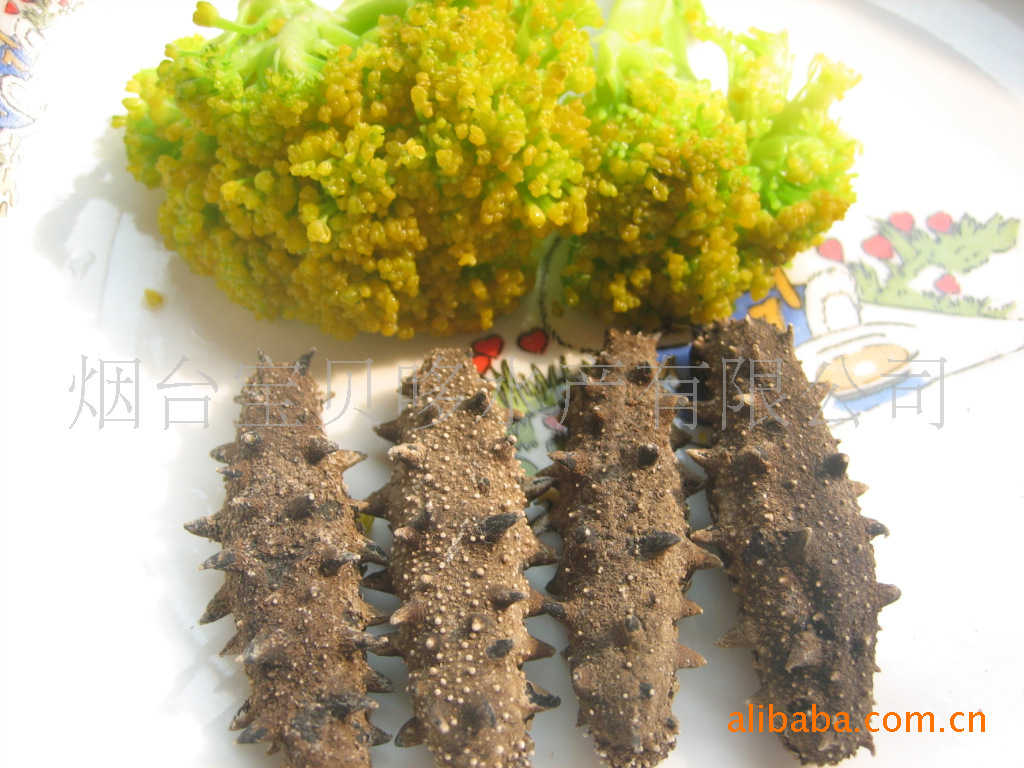 上补佳品 烟台宝贝哆水产 套子湾 140头 野生纯干海参