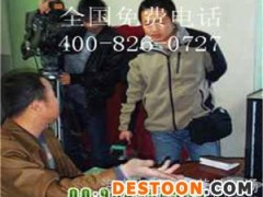 安庆养殖野兔比利时野兔养殖场品牌企业