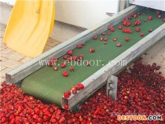 厂家直销辣椒烘干机-国信机械-辣椒烘干机