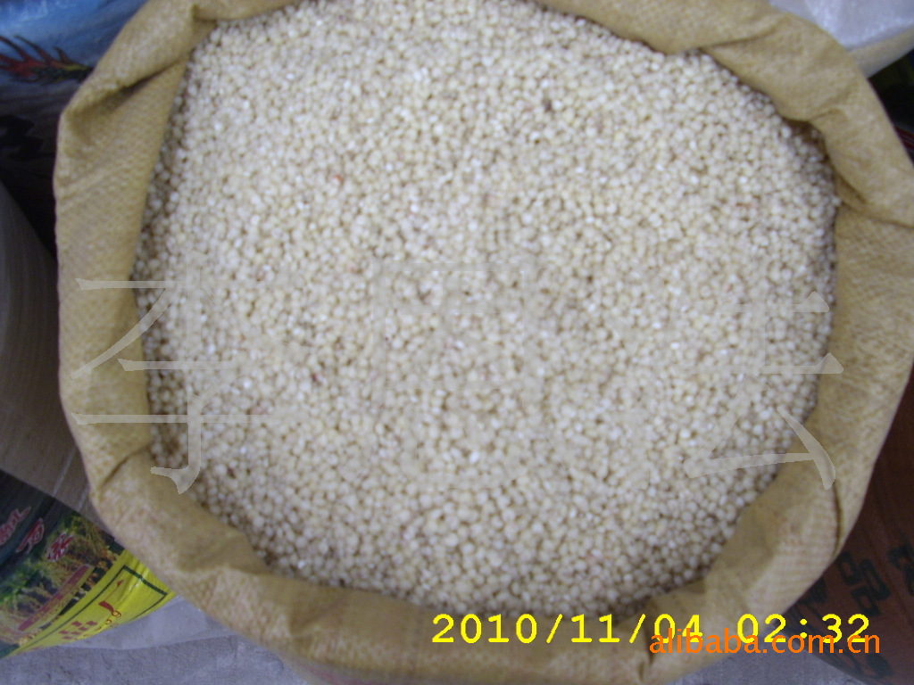 长期供应优质粘高粱米红高粱米