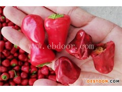 高雄辣椒干燥-国信机械-大产量辣椒干燥机价格