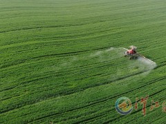 荆楚农事忙这张照片美-襄阳晋中市农业农村局