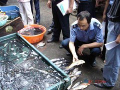 食药监总局水产品抽样检验：合格率为91.5%